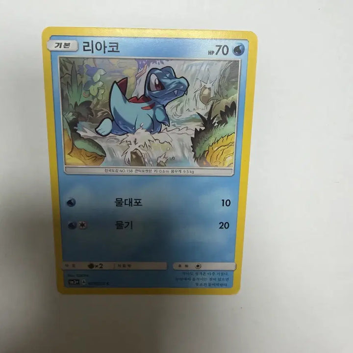 [BUNJANG] Riako Pokemon Card / 리아코 포켓몬카드