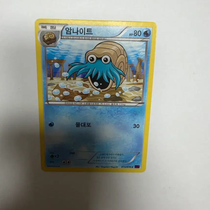[BUNJANG] Pokemon Card Obsidian Flames / 암나이트 포켓몬카드