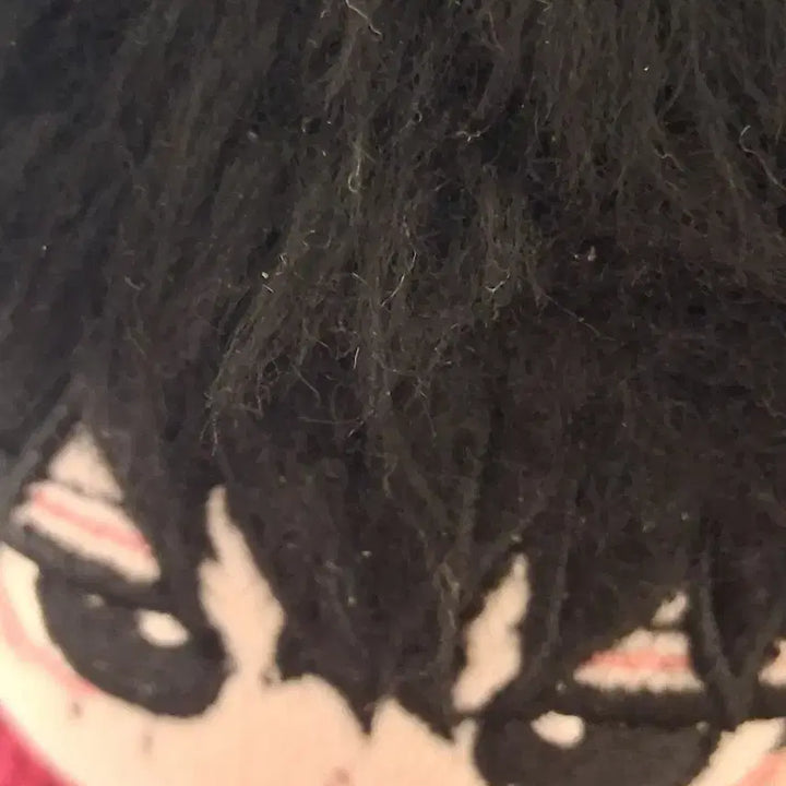 [BUNJANG] Sakamo-s Day Natsuki Neko Plush Doll / 꼬질꼬질꾀질꾀질 세바 나츠키 비공식 인형 솜츠키 사카데이 사카모토데이즈