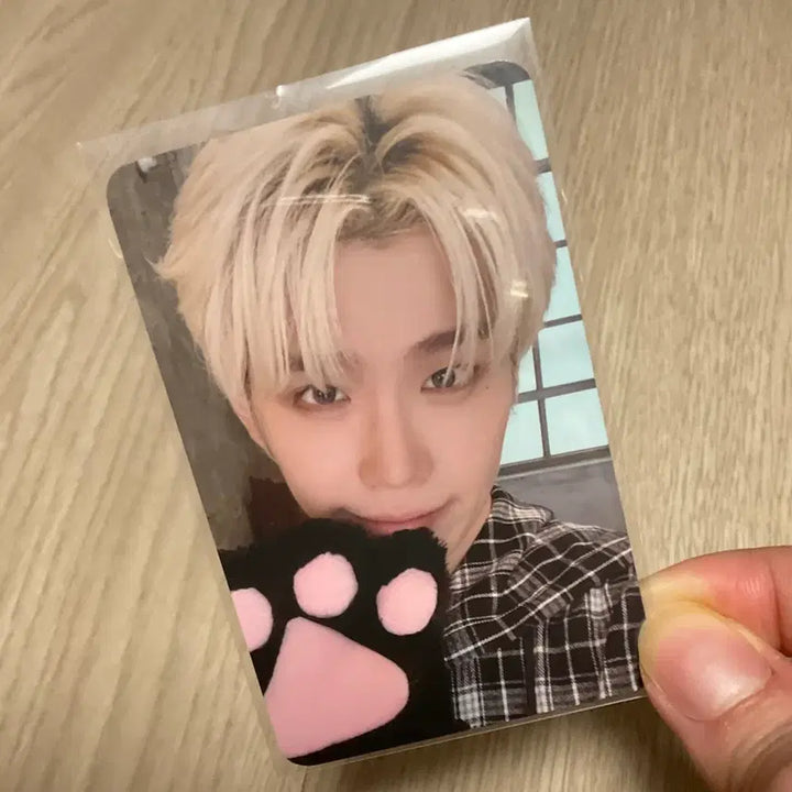 [BUNJANG] ZB1 Kim Gyuvin Here&amp;Now Concert Photocard / 제베원 김태래 here&amp;now 콘서트 막콘 포카 태래 태니니 zb1