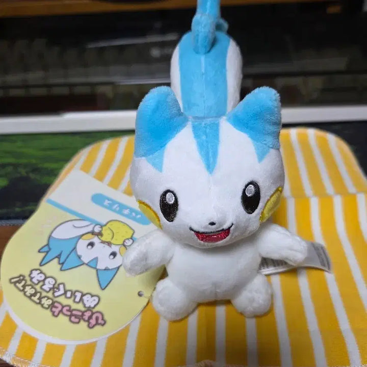 [BUNJANG] Mitomite Pachirisu Plush / 미테미테 파치리스 인형