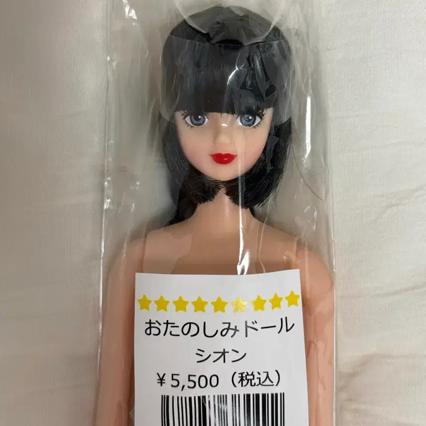 [BUNJANG] Rika Castle Sion Black Hair Doll / 리카캐슬 시온