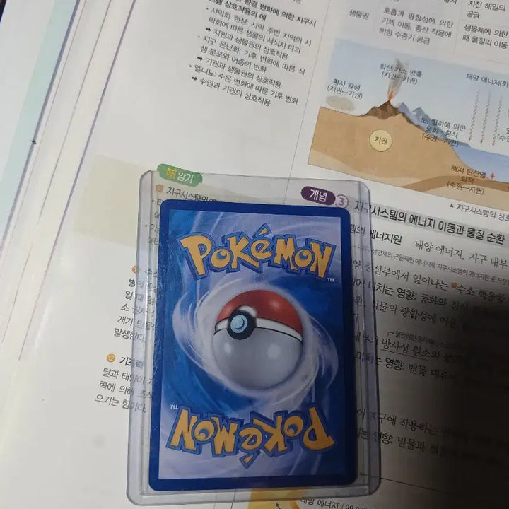 [BUNJANG] Pokemon Card Jolteon SAR / 포켓몬카드 쥬피썬더 SAR