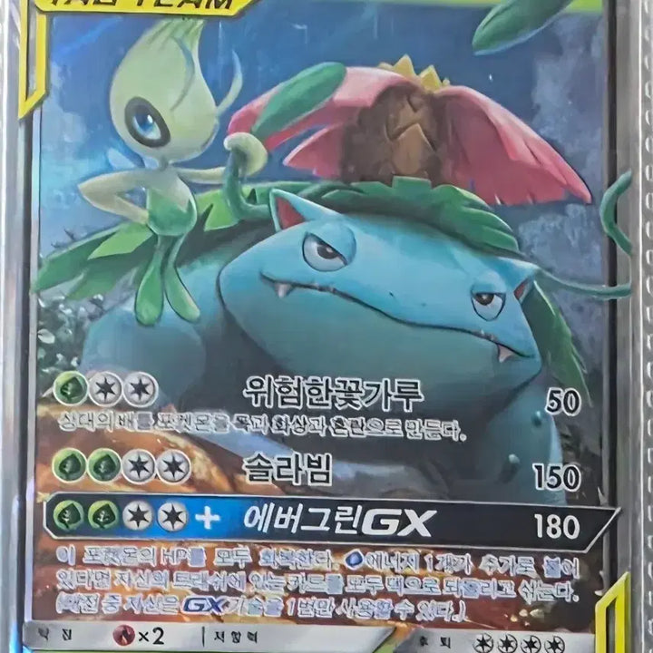 [BUNJANG] Pokemon Card Celebi &amp; Venusaur GX Tag Team RR / 포켓몬카드 세레비&amp;이상해꽃 GX 태그팀 RR