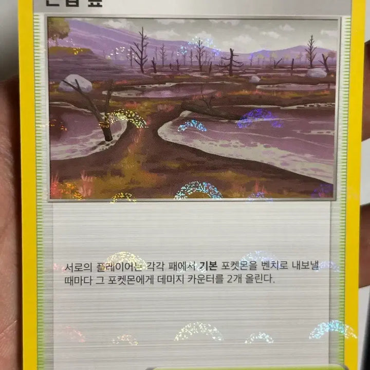 [BUNJANG] Pokemon Card Stadium Great Marsh Monster Ball / 포켓몬 카드 스타디움 큰입 늪 몬스터볼