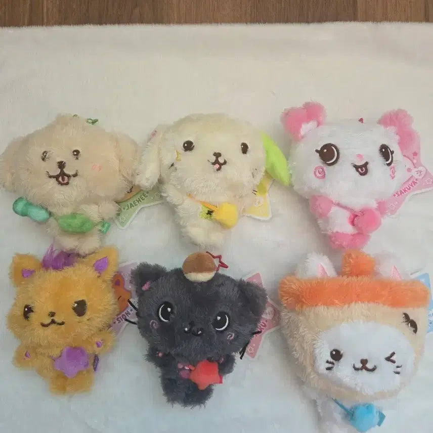 [BUNJANG] NCT WISH Wishdoll Bundle Set DENGTRIVER Lyun Lyun Kuri Bubble Nyan Sionyong Pangyi / 엔시티위시 위시돌 일괄 댕트리버 룐룐 쿠리 버블냥 시오닝 팡이