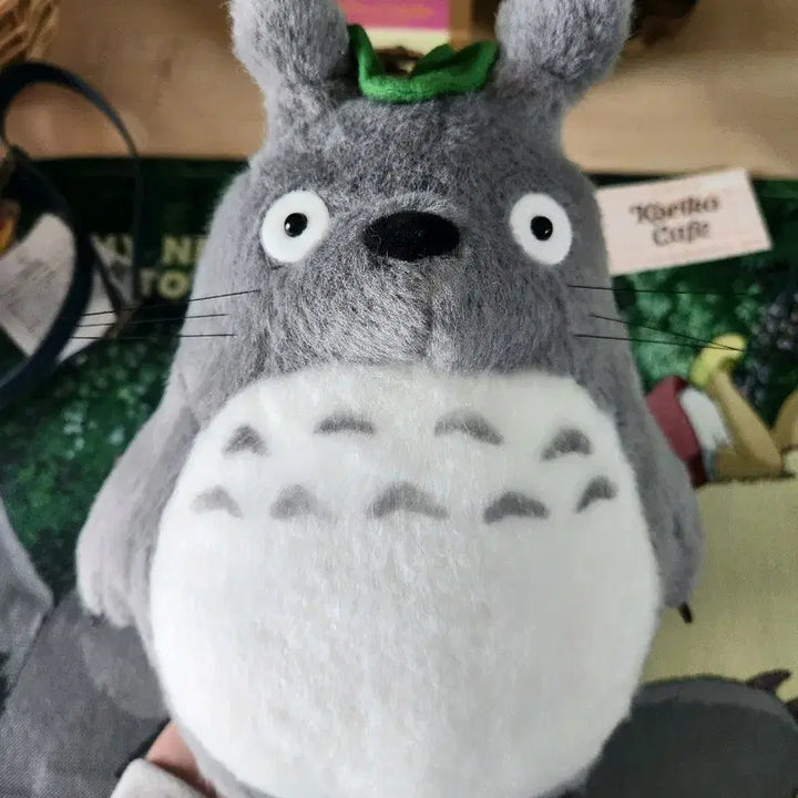 [BUNJANG] Studio Ghibli Limited Edition Totoro Full Box Set / 아니메쥬와지브리)<특가할인중!>한정 토토로굿즈 풀박스