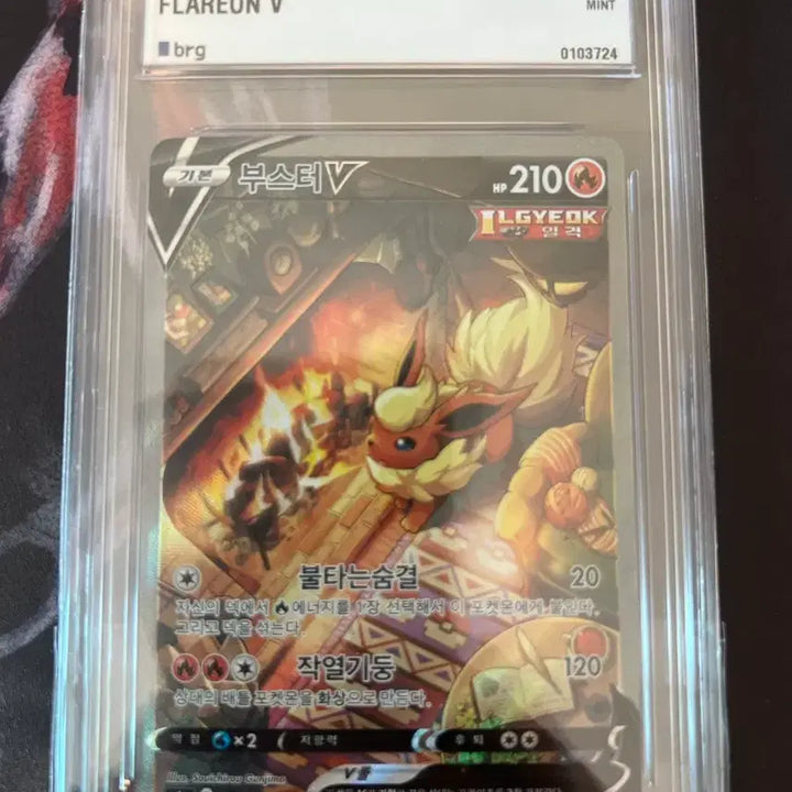 [BUNJANG] Booster SR BRG9 Graded Card / 포켓몬카드 부스터sr brg9