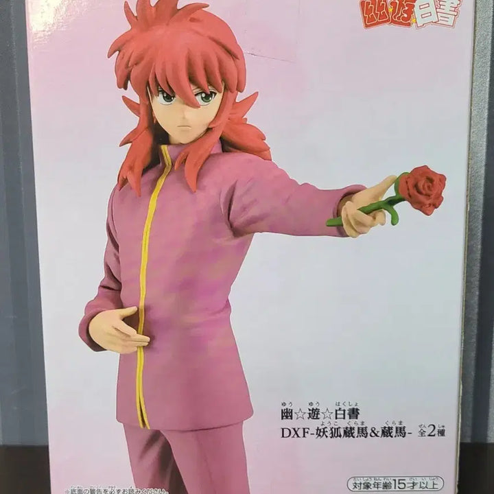 [BUNJANG] Yu Yu Hakusho Kurama DXF Figure (Sealed) / 미개봉 유유백서 쿠라마 피규어