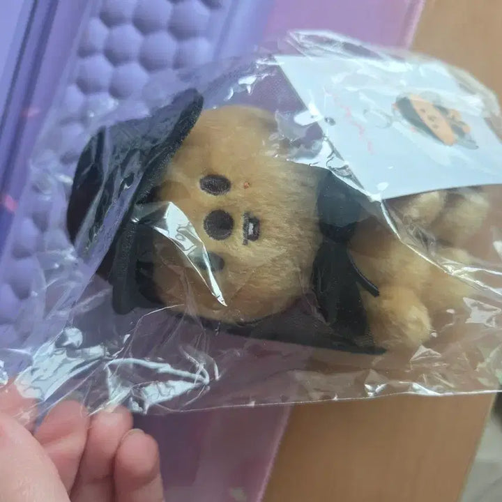 [BUNJANG] HanQuokka Do It Popup Keyring Plush / 한쿼카 두잇 팝업 키링 인형