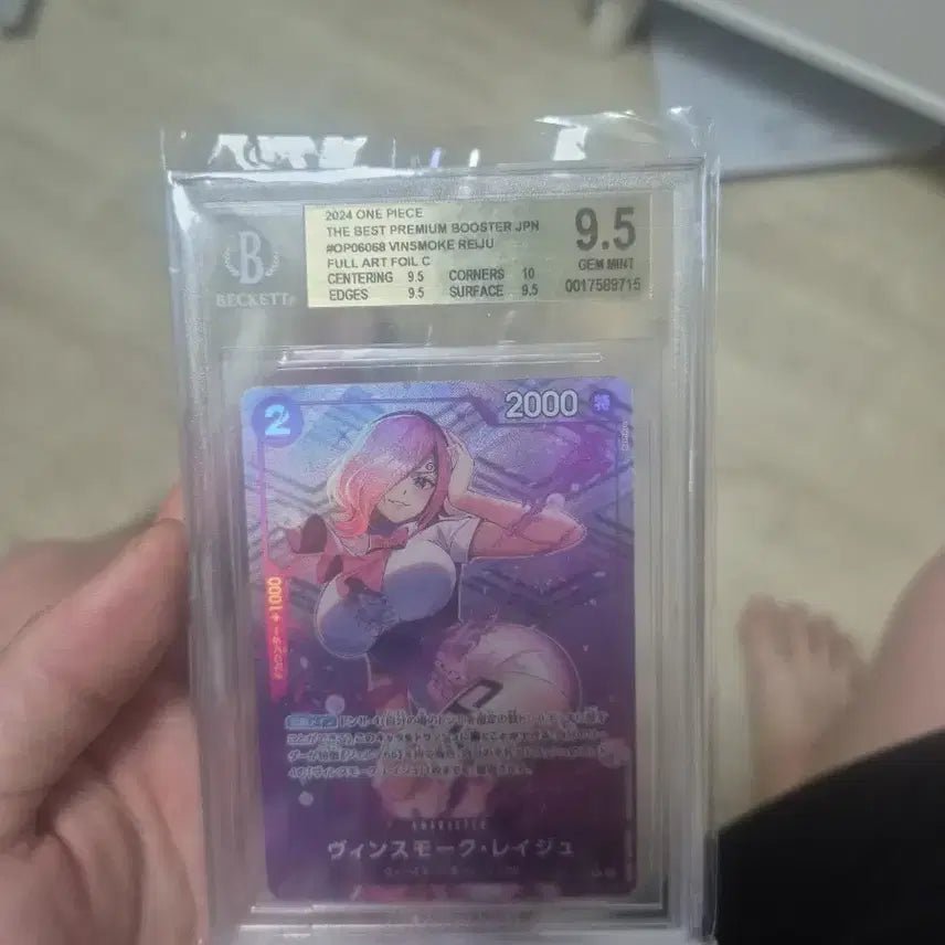 [BUNJANG] One Piece, Pokémon Card, Chunsiki, Ryan Doll / 원피스, 포켓몬카드 춘식이 라이언인형