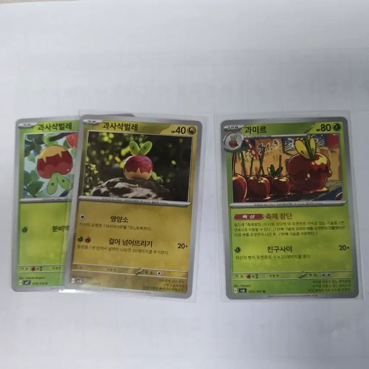 [BUNJANG] Pokemon Card Scatterbug 2 Versions, Scatterbug / 포켓몬카드 과사삭벌레 2가지 버전 , 과미르