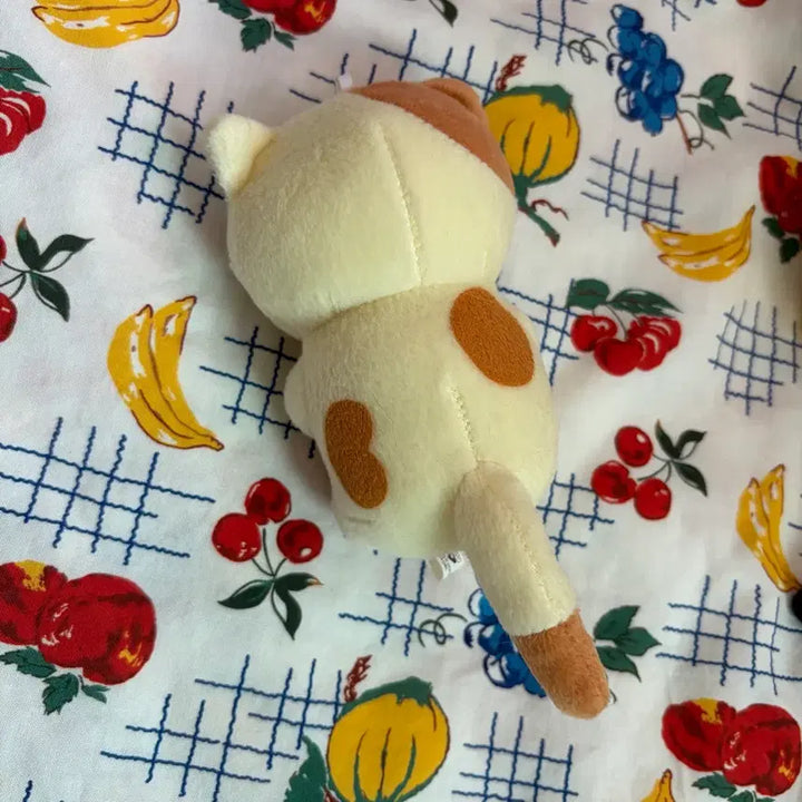 [BUNJANG] Neko Atsume Rolled Up Cheese Cat Plush / 네코아츠메 뒹굴 치즈냥