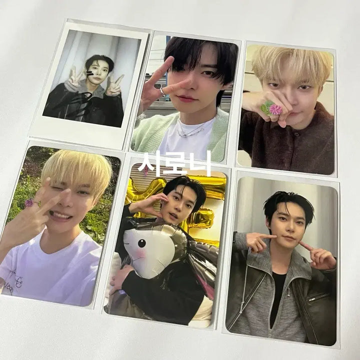 [BUNJANG] NCT Doyoung SOAR PROMISE Bundle Set Photocard / 엔시티 도영 포카 일괄 판매 soar promise