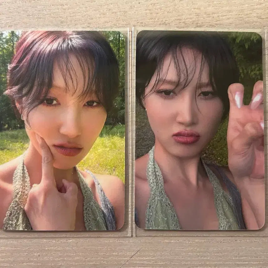 [BUNJANG] Mamamoo Hwasa 4 Flowers POB Set / 마마무 화사 4 Flowers 미공포 세트 양도합니다!