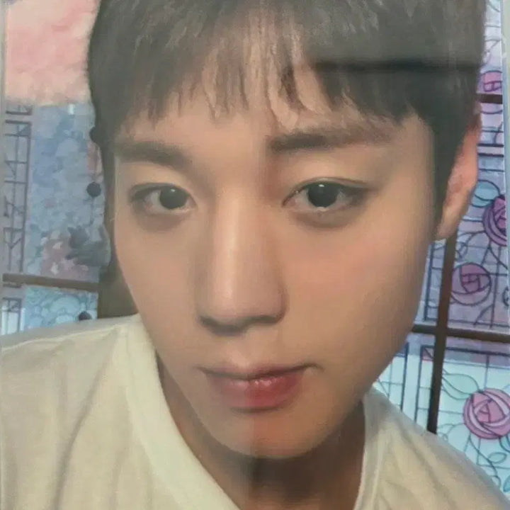 [BUNJANG] Park Jihoon Reflect Bread Photocard / 박지훈  리플렉트 식빵 포카