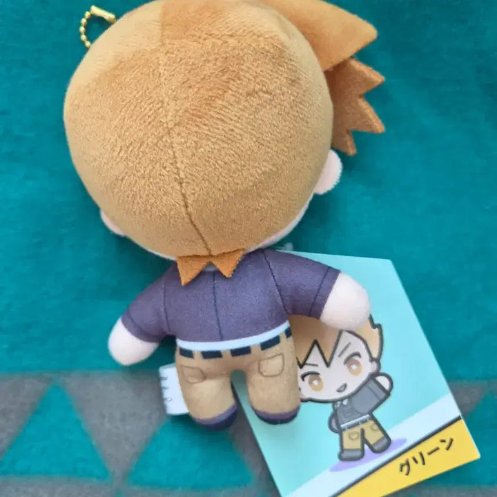 [BUNJANG] Pokemon Trainers Mascot Green Plush / 포켓몬스터 트레이너즈 마스코트 그린 누이