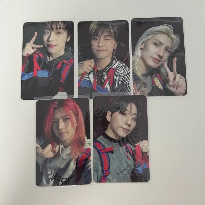 [BUNJANG] Xdinary Heroes Bundle Set View: MAS Concert Final Concert Entry Photocard / 일괄) 엑스디너리 히어로즈 엑디즈 뷰마콘 막콘 입장포카