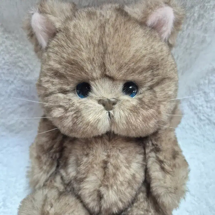 [BUNJANG] Teddy Tales Lena Cat 20cm Chocolate S Size / (새상품)테디테일즈 레나캣 초코 s사이즈 20cm