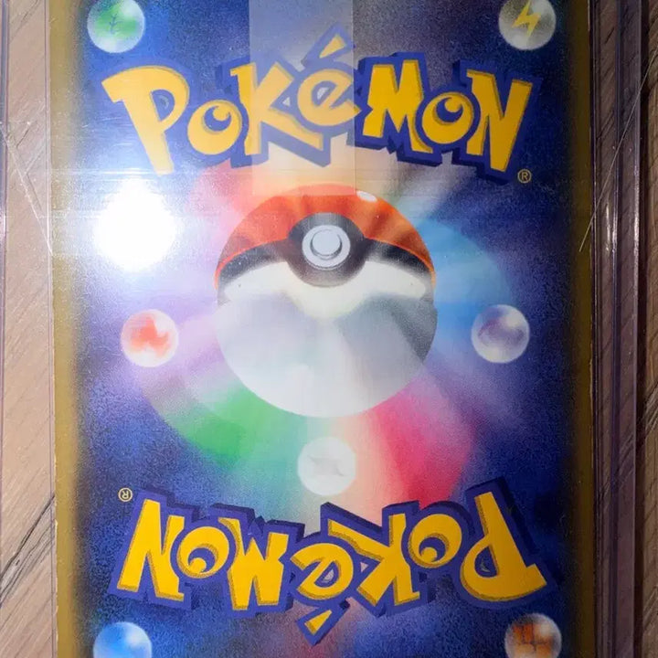 [BUNJANG] Pokemon Card Groudon EX (Japanese) / 포켓몬카드 그란돈 EX (일본판)