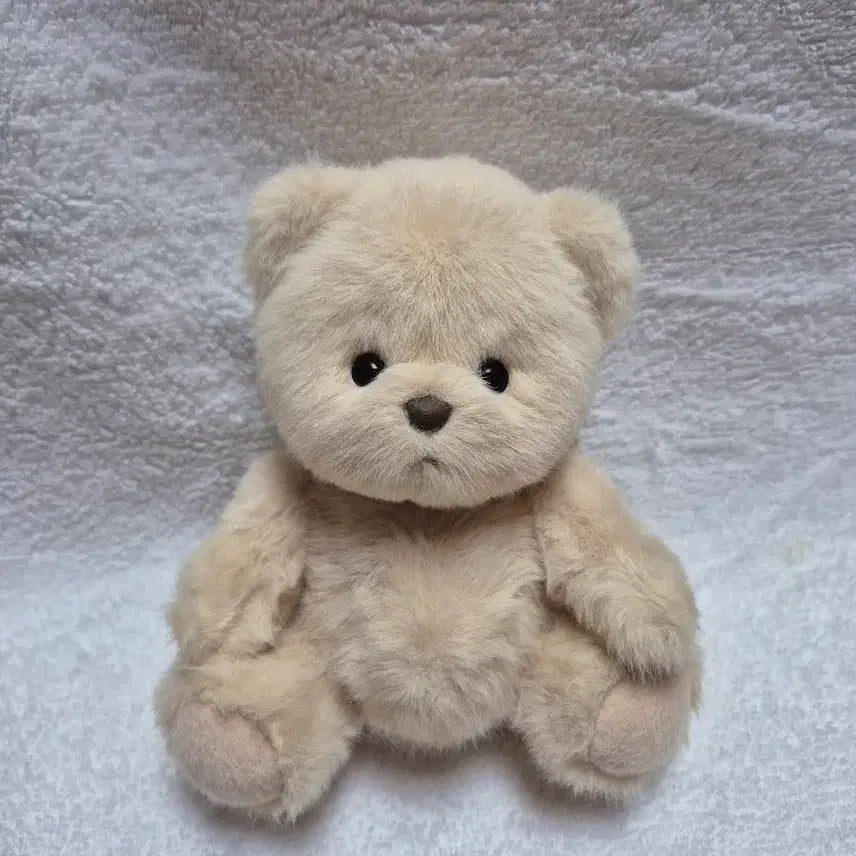 [BUNJANG] Teddy Tails Lena Bear Milk Tea 20cm Doll (New) / (새상품)테디테일즈 레나베어 밀크티 s사이즈 20cm
