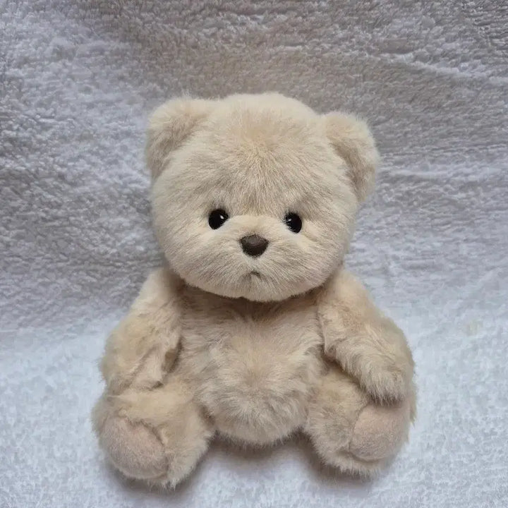 [BUNJANG] Teddy Tails Lena Bear Milk Tea 20cm Doll (New) / (새상품)테디테일즈 레나베어 밀크티 s사이즈 20cm