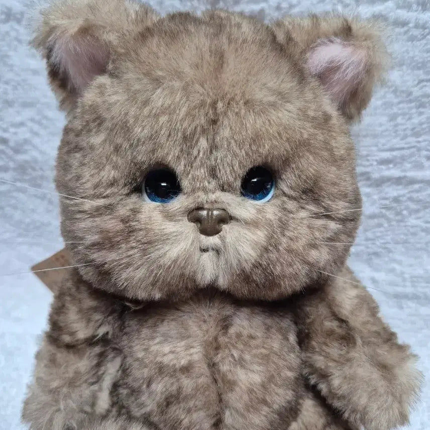 [BUNJANG] Teddy Tails Rena Cat Choco 20cm Plush Doll / (새상품)테디테일즈 레나캣 초코 s사이즈 20cm