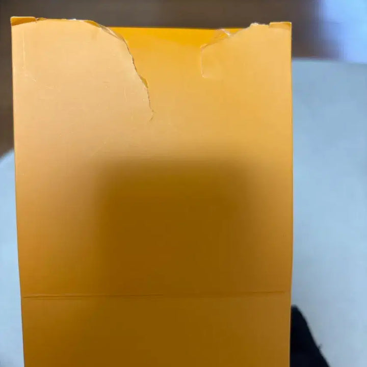 [BUNJANG] RIIZE Lightstick / 라이즈 응원봉