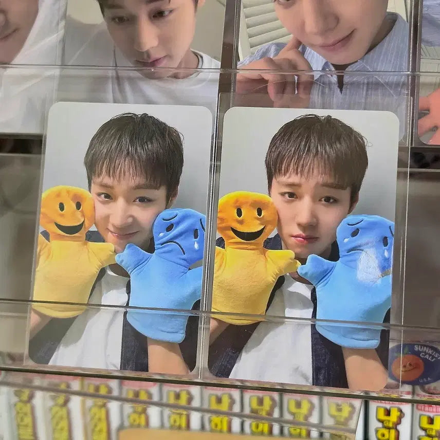[BUNJANG] Park Jihoon Bundle Set Photocard (Huniday, Pochacco, Emotion Doll, Ribbon Heart) / 박지훈 포카(후니데이, 포차코,  감정인형, 리본하트)일괄