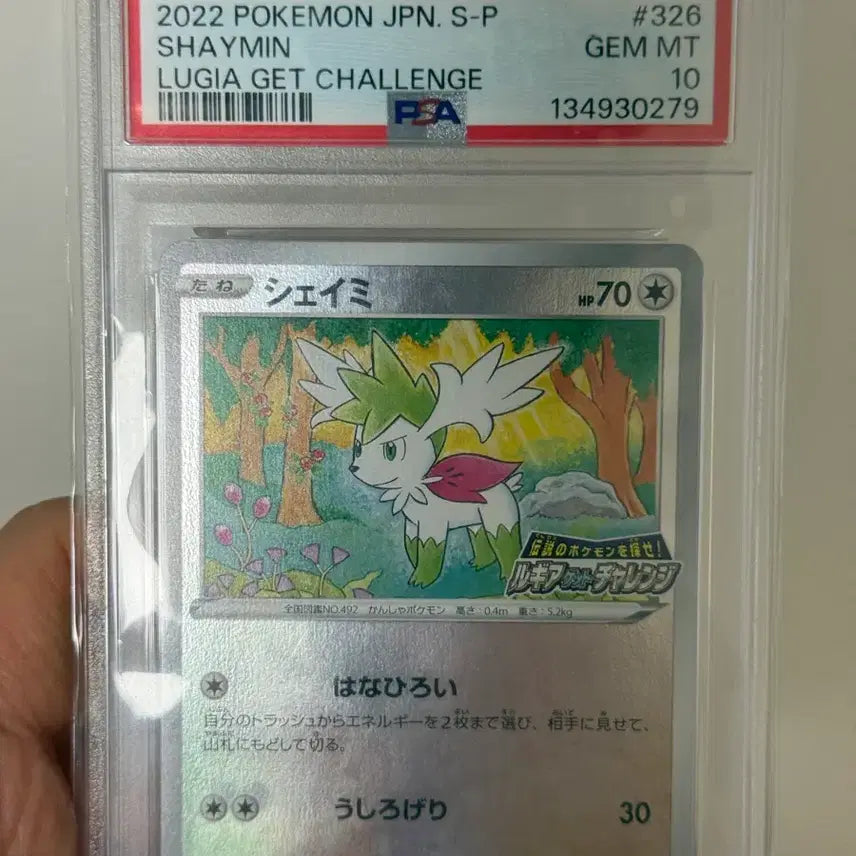 [BUNJANG] Pokemon Card Shaymin Promo PSA 10 / 포켓몬카드 셰이미 프로모 psa10