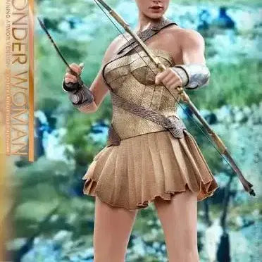 [BUNJANG] Hottoys MMS424 Wonder Woman Training Armor Gal Gadot Figure / 핫토이 Hot toys MMS424 원더우먼 트레이닝 아머 갤가돗 피규어