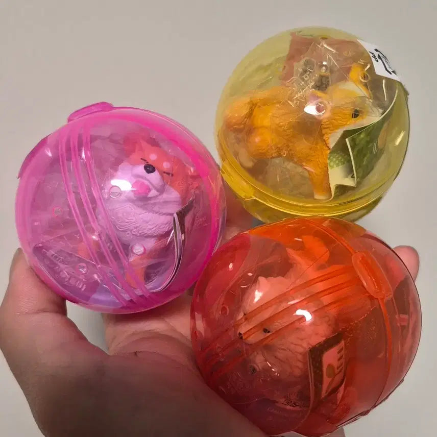 [BUNJANG] Happy Mong Gacha Bundle Set / 해피멍 가챠 일괄판매 강아지 가챠