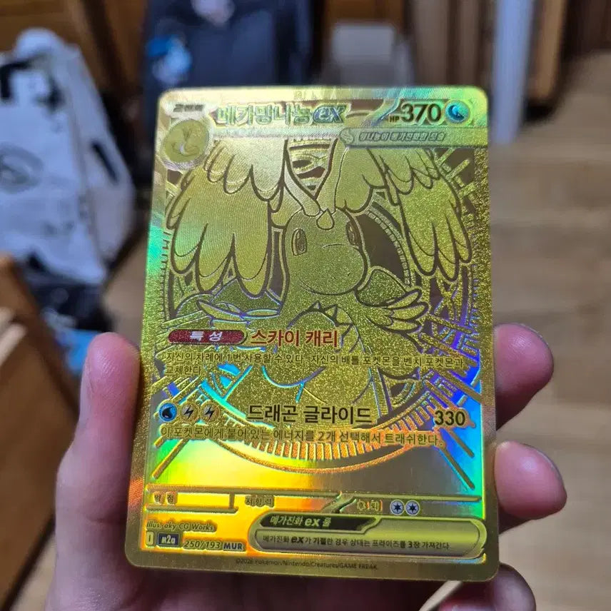 [BUNJANG] Pokemon Card Binders / 포켓몬카드 앨범용