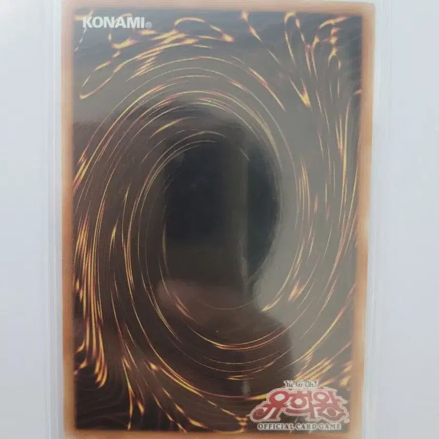 [BUNJANG] Yu-Gi-Oh! Ash Blossom &amp; Joyous Spring Quarter Century Secret Rare Card / 유희왕 섬도희 - 레이 구일 쿼싴
