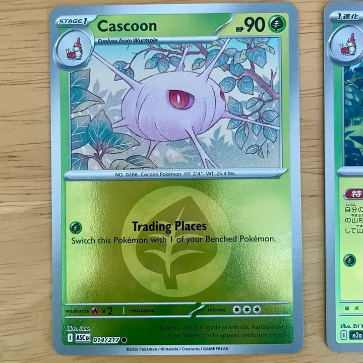[BUNJANG] Kasukun Holocards (North America/Japan Ver.) Set of 2 / 북미판 일판 카스쿤 홀로카드 2장 세트