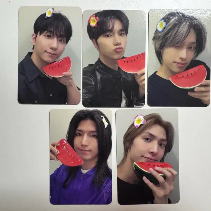 [BUNJANG] Xdinary Heroes Summer Concert First Day Entry Gift Photocard / 엑스디너리히어로즈 엑디즈 썸머콘 첫콘 입장기프트 포카