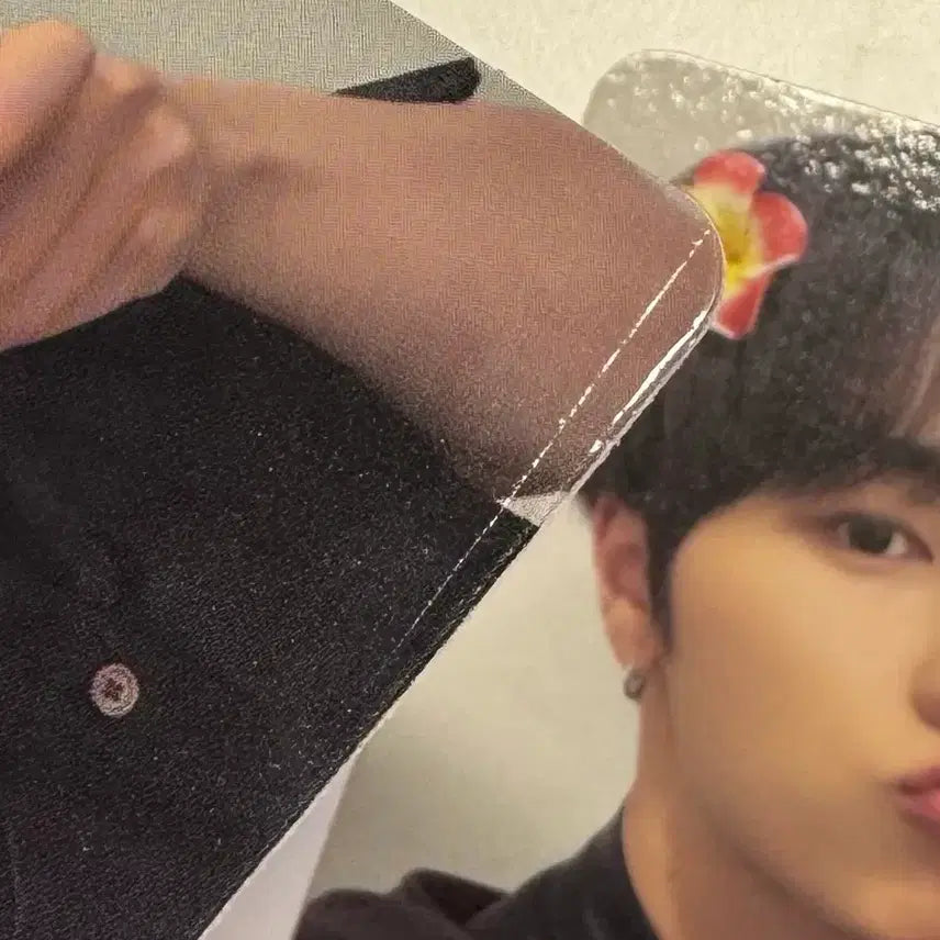 [BUNJANG] Xdinary Heroes Summer Concert First Day Entry Gift Photocard / 엑스디너리히어로즈 엑디즈 썸머콘 첫콘 입장기프트 포카