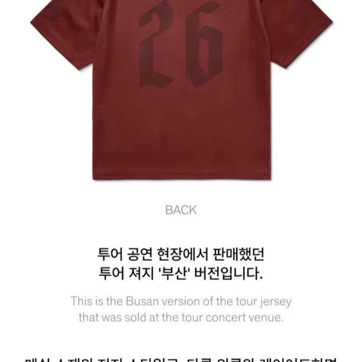 [BUNJANG] BTS World Tour ARIRANG Jersey / BTS 방탄소년단 월드 투어 아리랑 투어 져지 저지 티 부산 Busan
