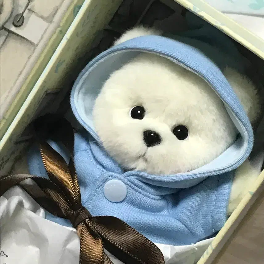 [BUNJANG] Teddy Tails Lena Bear Keyring White / 테디테일즈 레나베어 키링 화이트 새상품