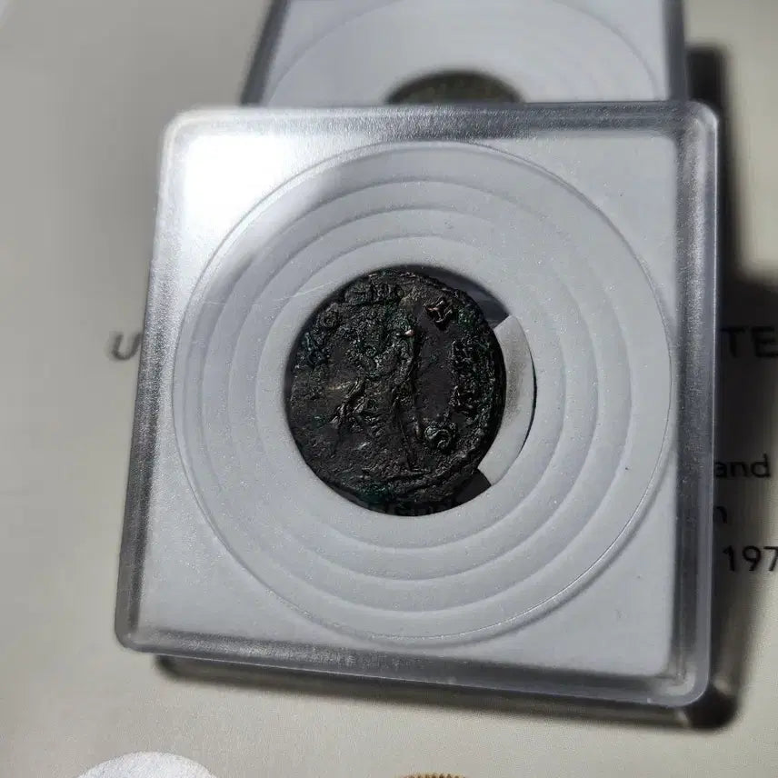 [BUNJANG] Collection of Ancient Roman Coins / 교육용 고대 로마 진짜 동전, 주화, 인테리어 소품