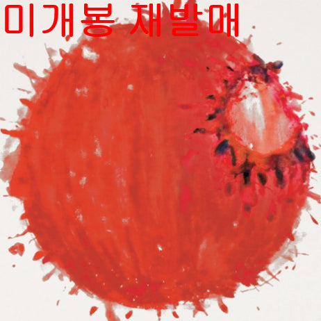 [BUNJANG] Thornapple 1st Album "Nangajakku Mar-eul Deodeumgo Jamdeuneun Beopdo Ijeotne" Sealed Digipack CD / 쏜애플 - 1집 / 난 자꾸 말을 .. (미개봉, 2019발매, CD)