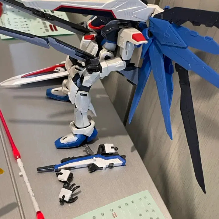[BUNJANG] RG Freedom Gundam / 건담 rg 프리덤 판매(여름 세일)