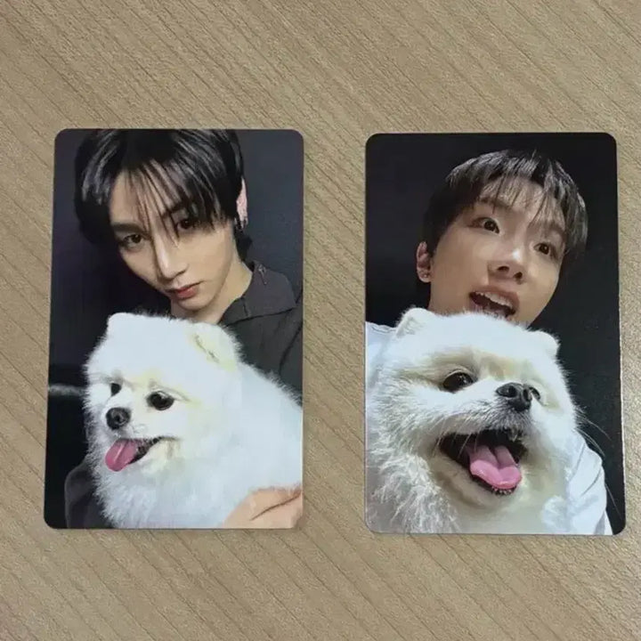 [BUNJANG] BOYNEXTDOOR Official Album [HOME] Set + Weverse POB Photocard &amp; Keyring (15 pcs total) / 보이넥스트도어 홈 앨범 세트 위버스 특전포카 키링 포카 총 15개
