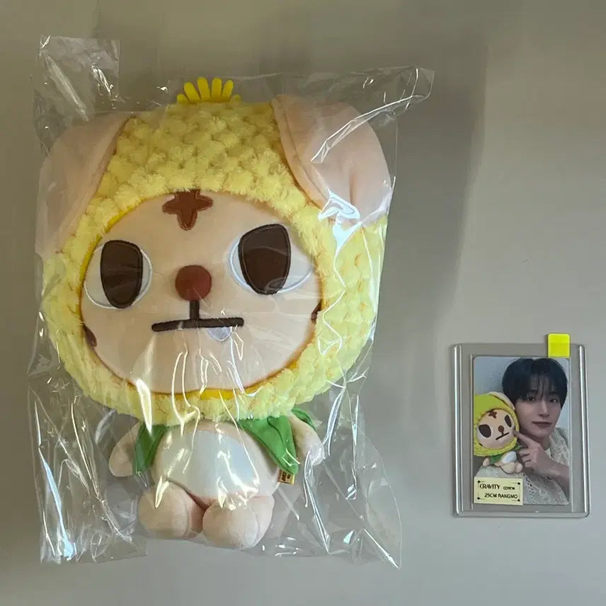 [BUNJANG] CRAVITY Jungmo 25cm Langmo Okrangi Plush / 처분목적) 크래비티 정모 CCREW 25cm 랑모 옥랑이 양도