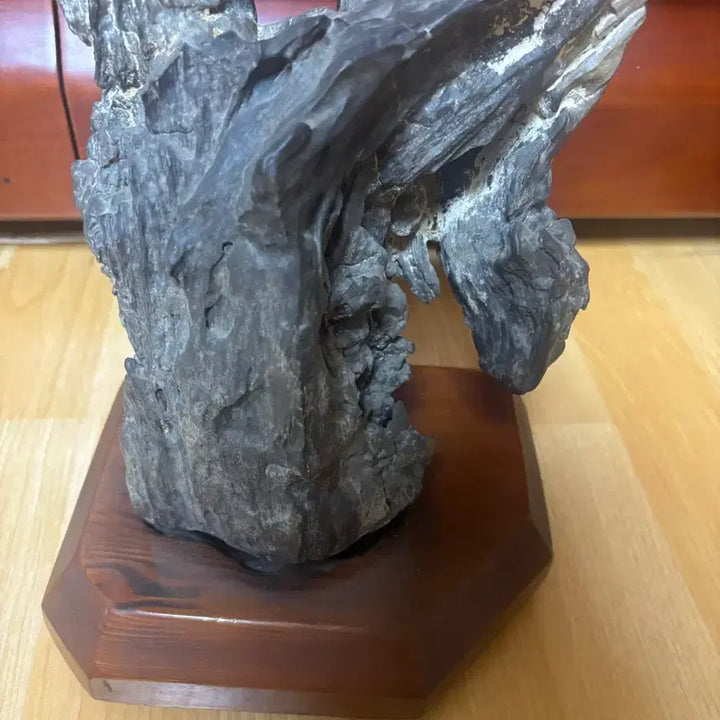 [BUNJANG] Libyan Large Petrified Wood Fossil (4.9kg) with Stand / 리비아 대형 규화목(나무화석) 4.9kg 받침대 포함