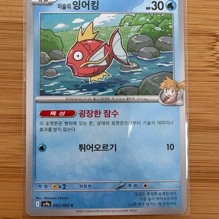 [BUNJANG] Pokemon Card Magikarp (Arceus) Set of 2 / 포켓몬 카드 이슬의 잉어킹 두장 1500