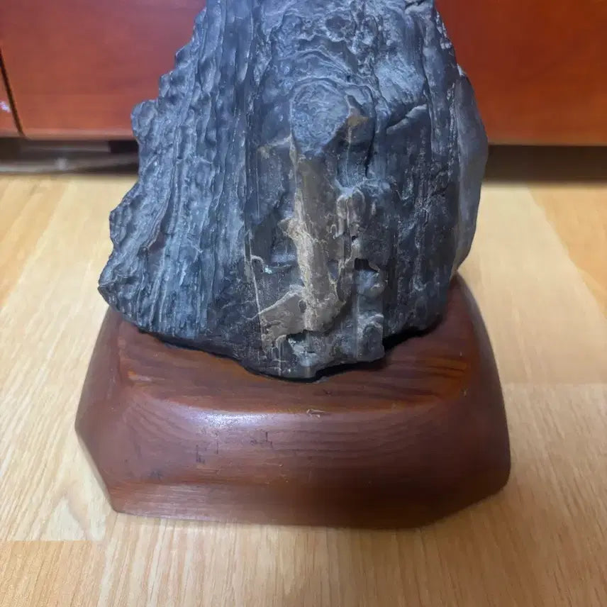 [BUNJANG] Libyan Petrified Wood Fossil (1.8kg) with Stand / 리비아 규화목(나무화석) 1.8kg / 받침대 포함