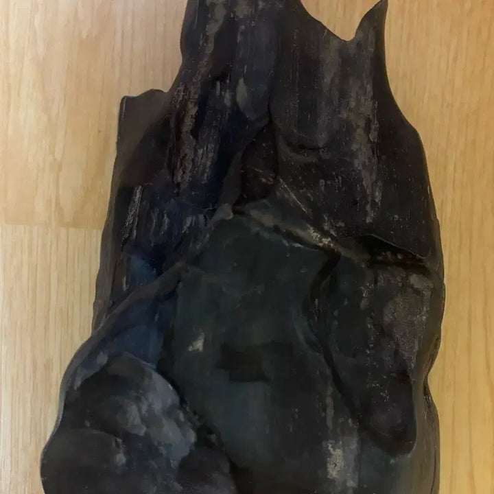 [BUNJANG] Libyan Petrified Wood Fossil 2kg / 리비아 규화목(나무화석) 2kg
