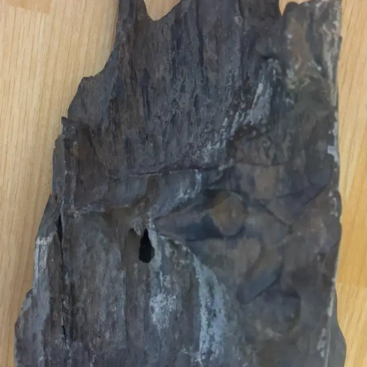 [BUNJANG] Libyan Petrified Wood Fossil 2kg / 리비아 규화목(나무화석) 2kg
