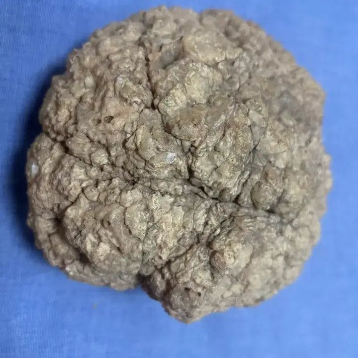 [BUNJANG] Libyan Desert Glass Rattle Stone / 리비아산 내부 수정 딸랑이돌 1.2kg
